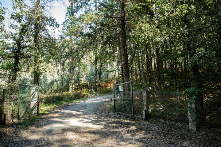 Casa de vacaciones para 6 personas, con Jardín en Galicia - 4