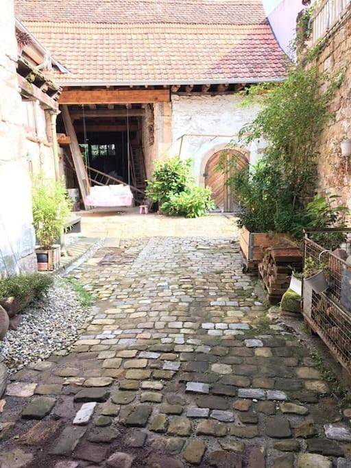 Ferienhaus für 11 Personen, mit Garten und Terrasse sowie Ausblick in Klingenmünster - 3