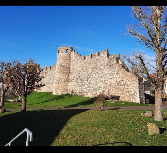 Ferienwohnung für 4 Personen, mit Garten in der Eifel - 2