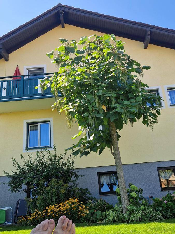 Ferienwohnung für 6 Personen, mit Balkon und Terrasse sowie Ausblick in St. Pölten