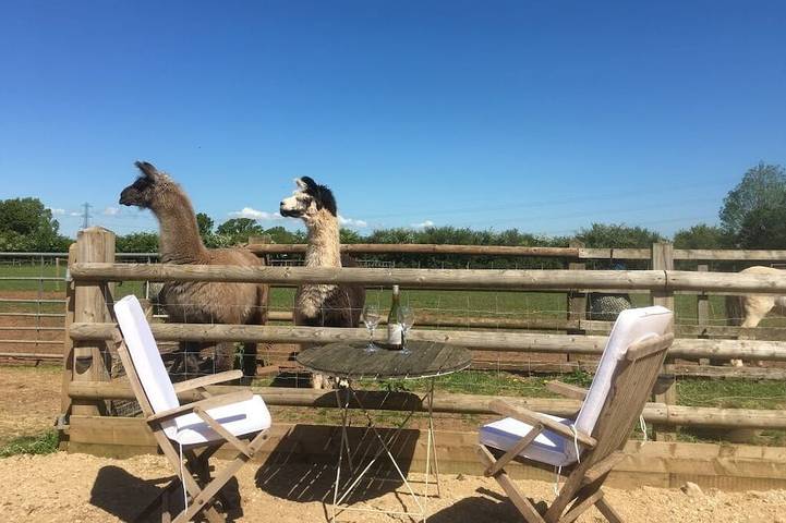 Appartement de vacances pour 2 personnes, avec jardin, animaux acceptés