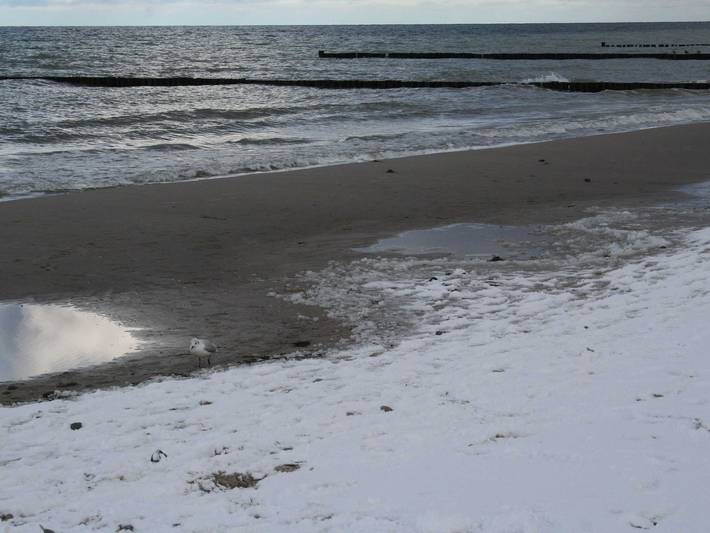 Ferienwohnung für 2 Personen, mit Terrasse und Garten in Wustrow - 4