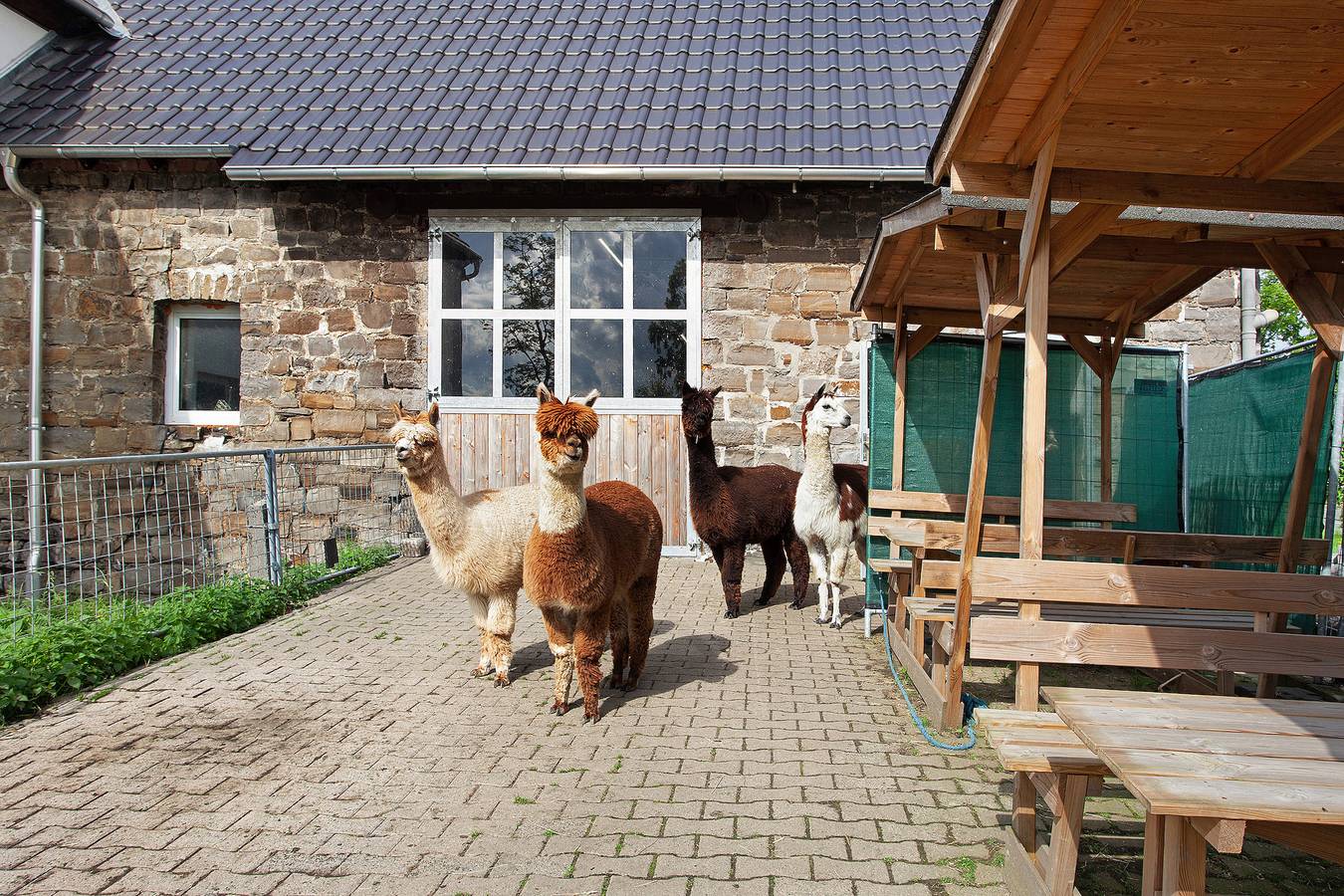 Appartement entier, Appartement "Sur le Ennerthof" avec terrasse privée, jardin et vue sur les alpagas in Arnsberg, Arrondissement du Haut-Sauerland