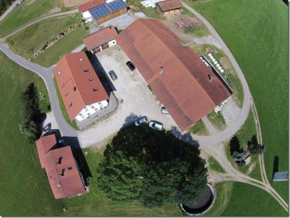 Ganze Wohnung, Ferienhof Landhaus Michael in Böbrach, Ostbayern