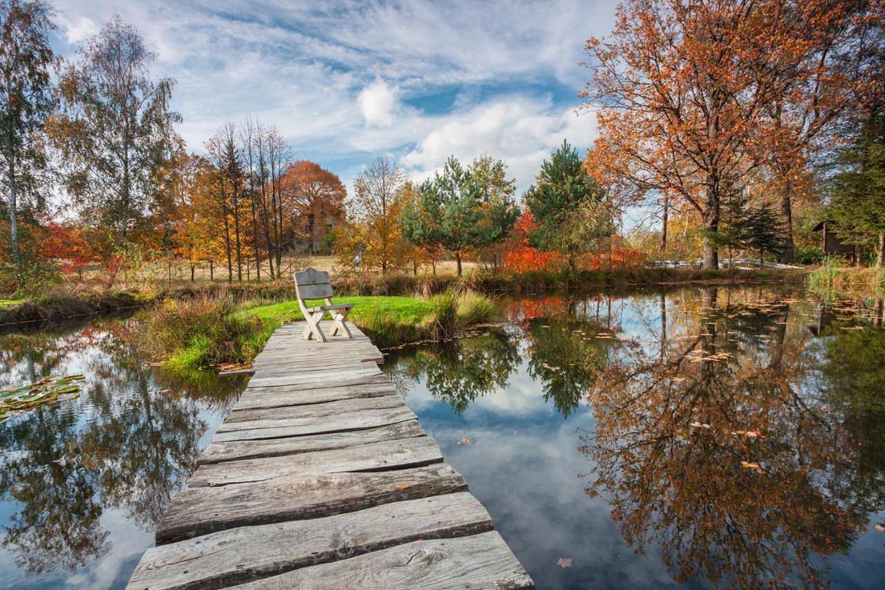 Agroturystyka Przylesie in Sudety (Polska)