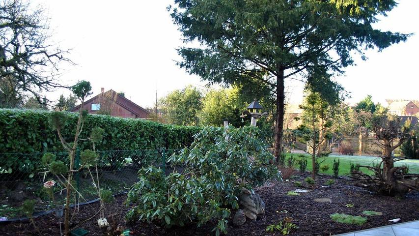 Ferienwohnung für 4 Personen, mit Garten in Bad Fallingbostel - 3