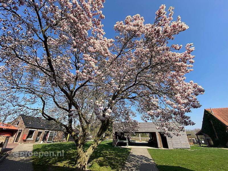 Groepsaccommodatie Everbeek in Everbeek, Brakel (België)