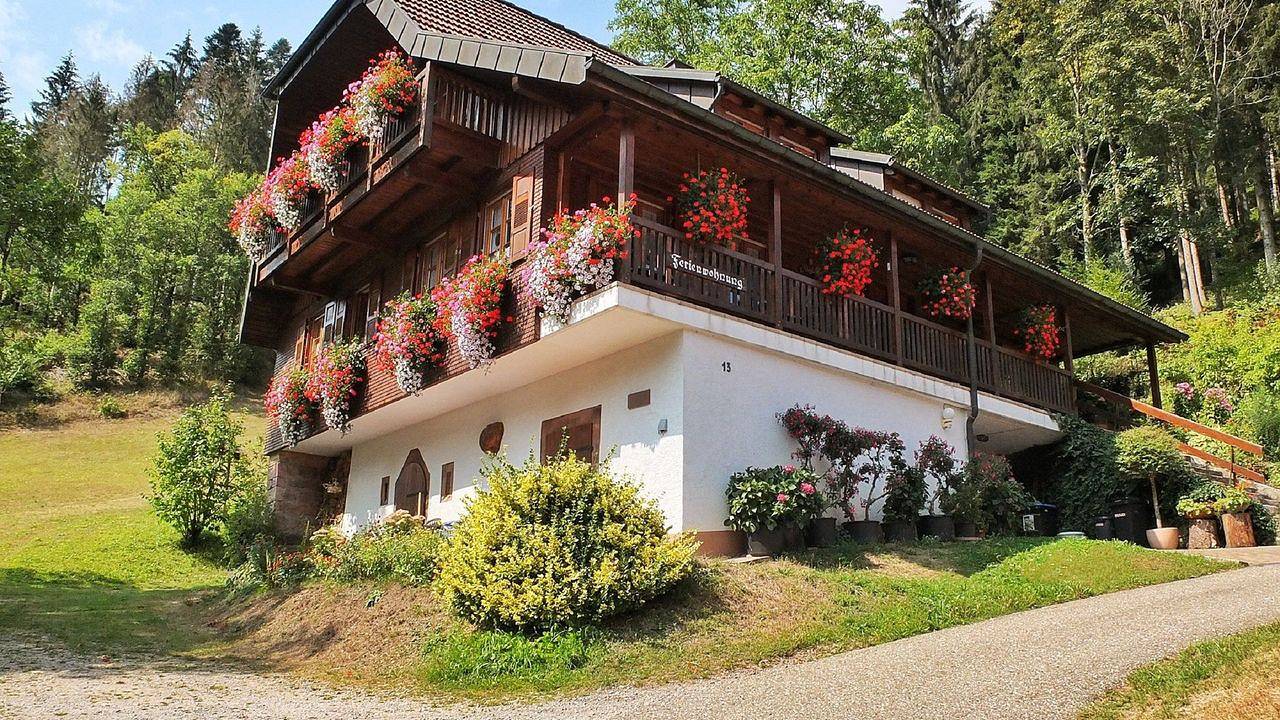 Ganze Ferienwohnung, Ferienwohnung für 4 Personen (50 m²) in Bad Rippoldsau-Schapbach in Bad Rippoldsau-Schapbach, Mittlerer Schwarzwald