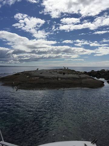 Cottage for 6 People in Tasmania, Australia, Photo 4