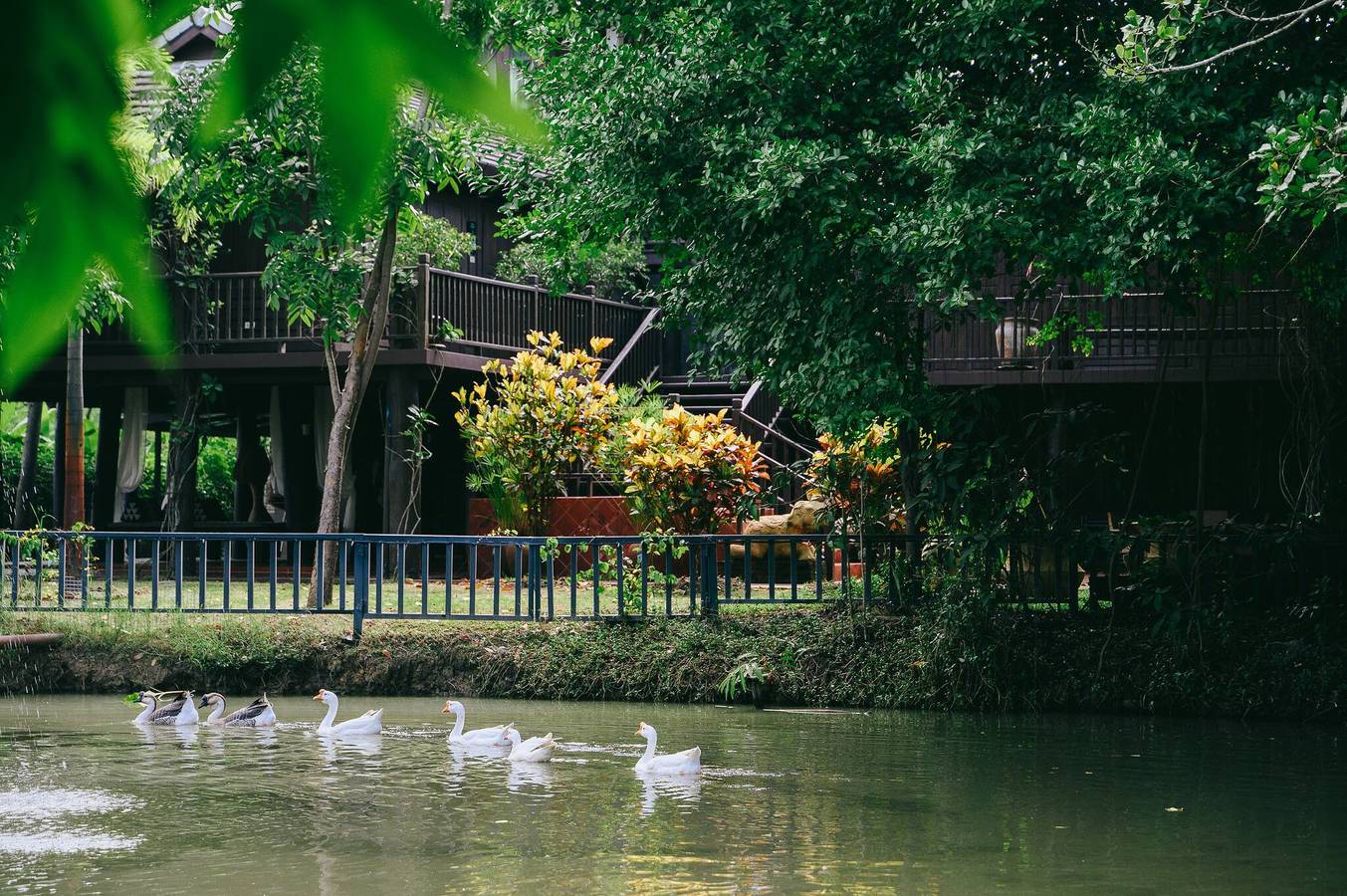 Cyngam Retreat - Une villa avec piscine privée et service in Chiang Mai, Thailande