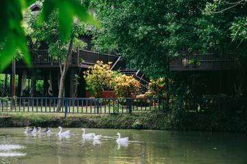 Villa til 10 Personer i Chiang Mai, Thailand, Bilde 3