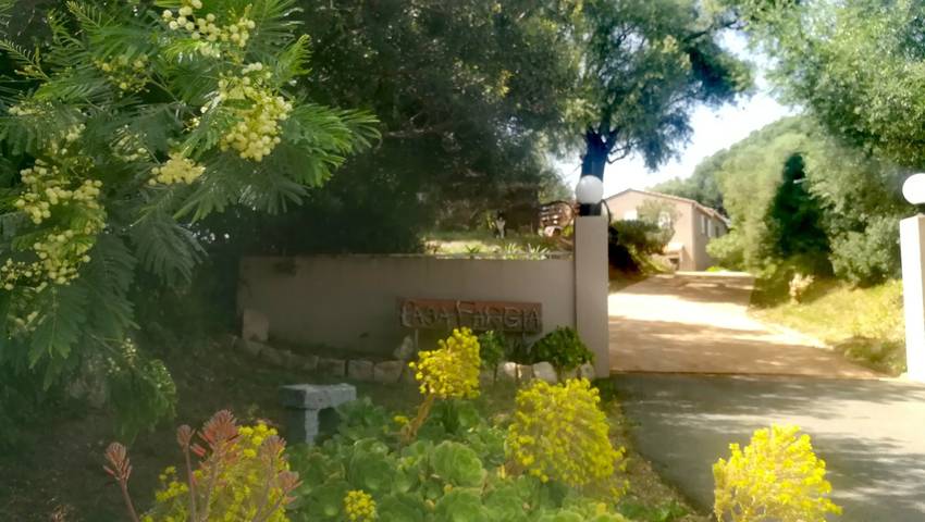 Chambre d’hôte pour 2 personnes, avec piscine et jardin en Corse - 4