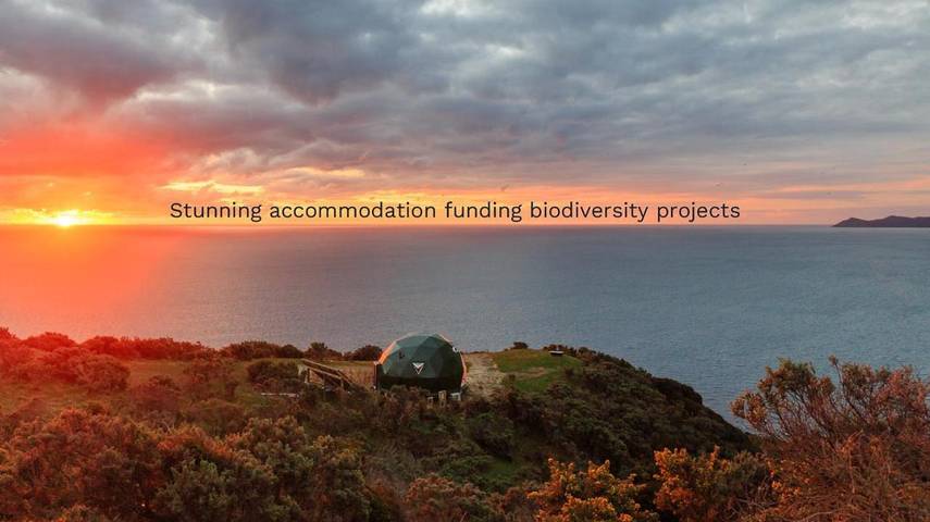 Camping voor 3 personen, met uitzicht in Nieuw-Zeeland