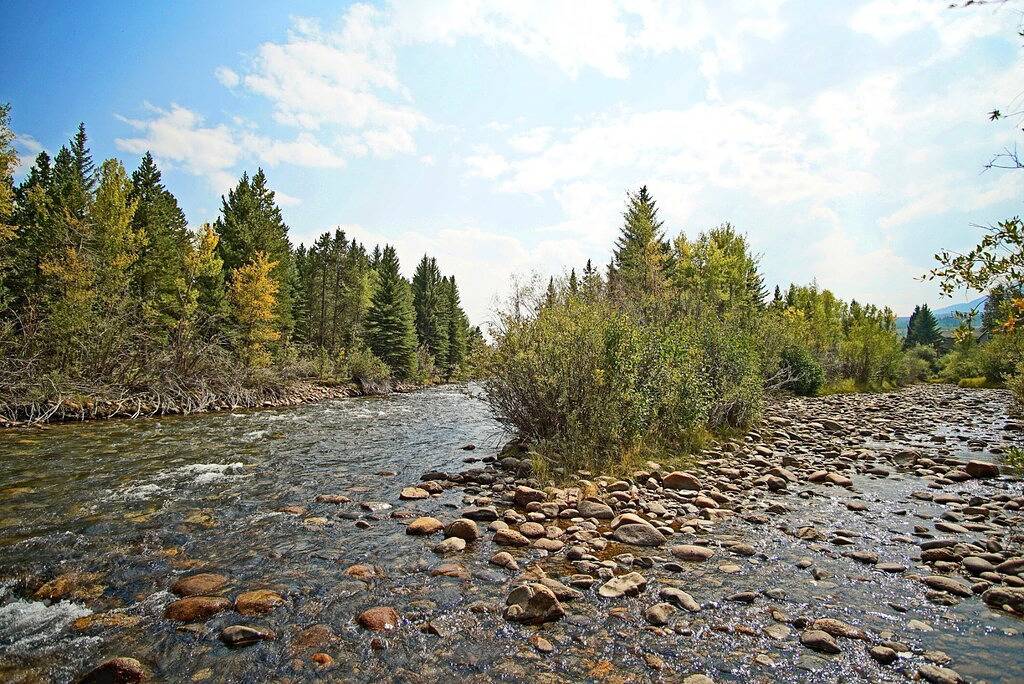 Close to 5 Ski Resorts - On Free Bus Route - Blue River in Backyard - Hot Tub in Silverthorne, Arapaho and Roosevelt National Forests