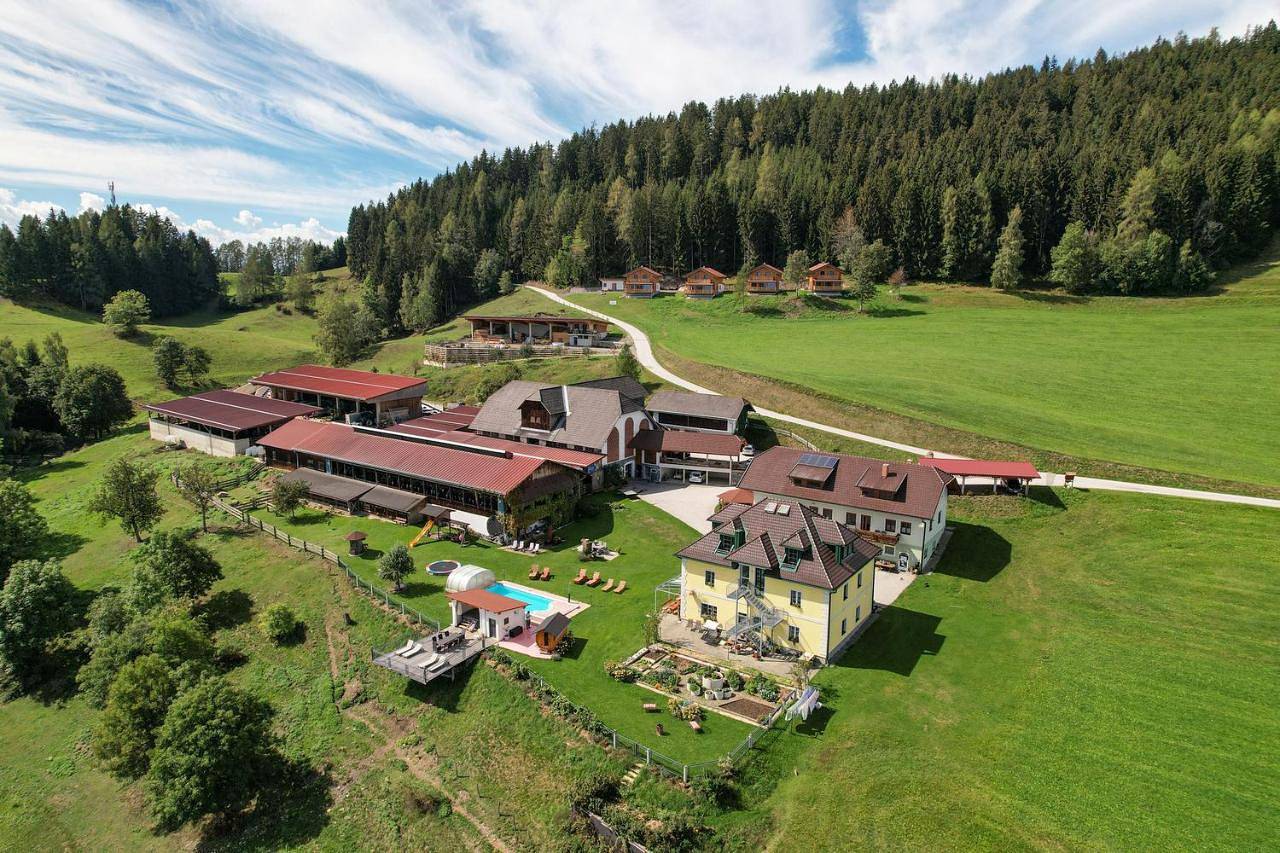 Ganze Wohnung, Erlebnisbauernhof Steinerhof in Kärnten in Liebenfels, Mittelkärnten