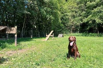 Camping til 6 Personer i Stadtkyll, Vulkaneifel, Bilde 4