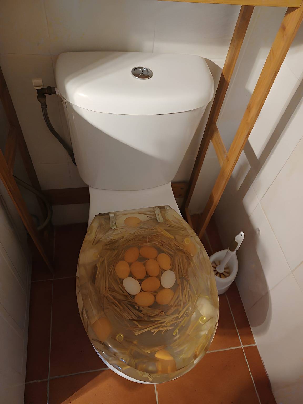 Klein huisje in het hart van de Limousin, foto 11