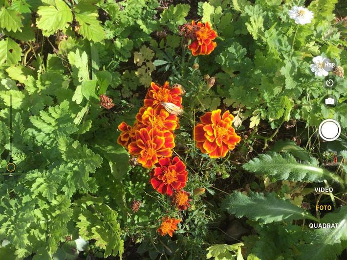 Location de vacances pour 6 personnes, avec balcon et vue à Osijek - 2