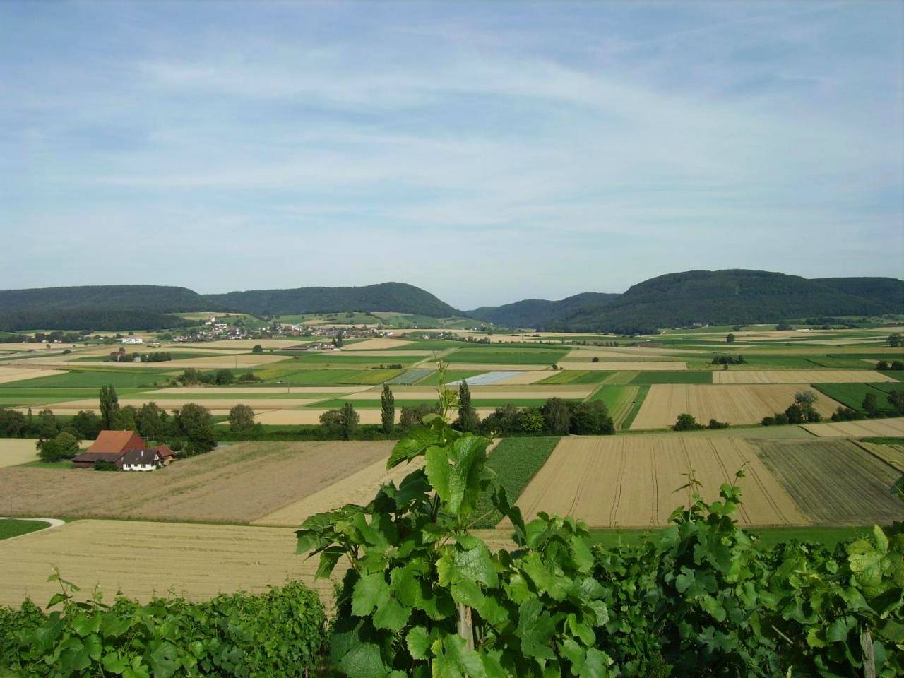 Double Room - Ground Floor in Trasadingen, Bezirk Unterklettgau