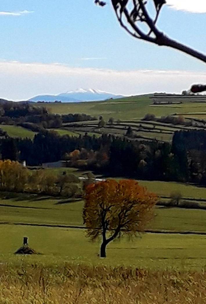 Ferienwohnung für 4 Personen, mit Garten, mit Haustier in Waldviertel - 2