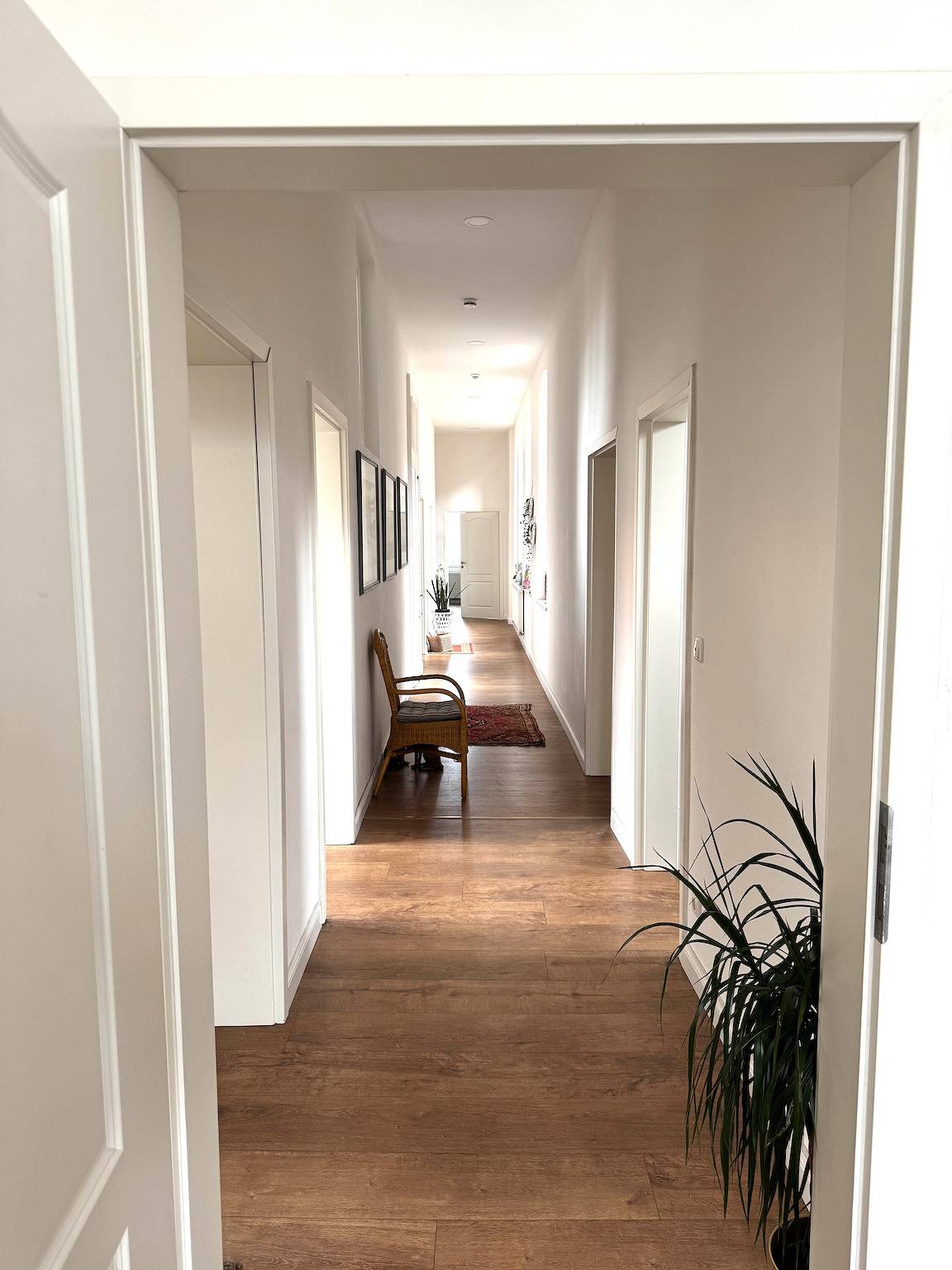 Ganze Wohnung, Ferienwohnung "150 Qm Luxus Im Zentrum" mit Home Office Platz und Wlan in Hameln, Weserbergland