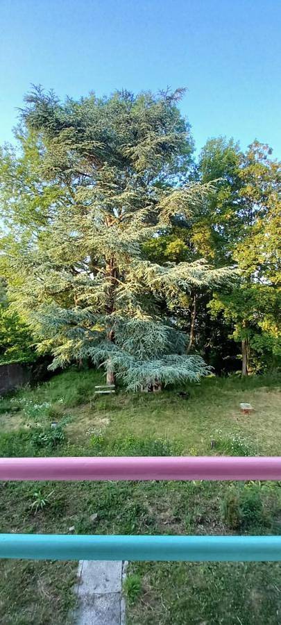 Gîte pour 2 personnes, avec jardin ainsi que vue et vue sur le lac à Arques-la-Bataille - 2