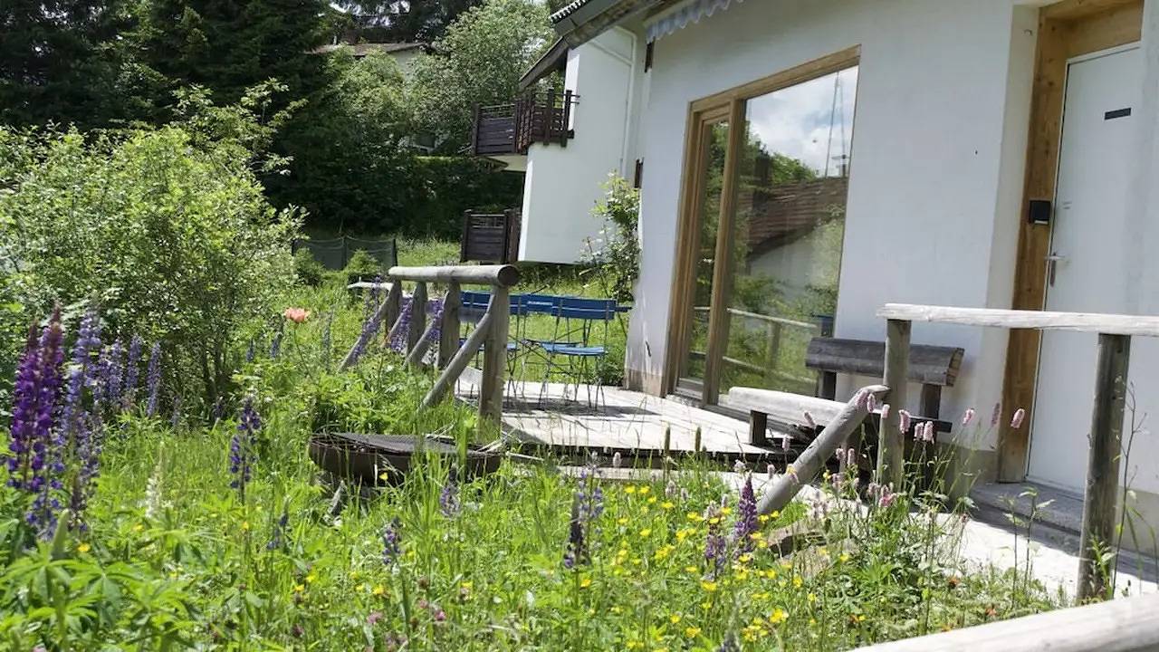 Ferienhaus für 6 Personen (120 m²) in Todtnau in Todtnauberg (Todtnau), Todtnau