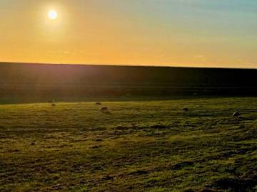Ferieudlejning til 6 Personer i Højer, Vesterhavet, Billede 4