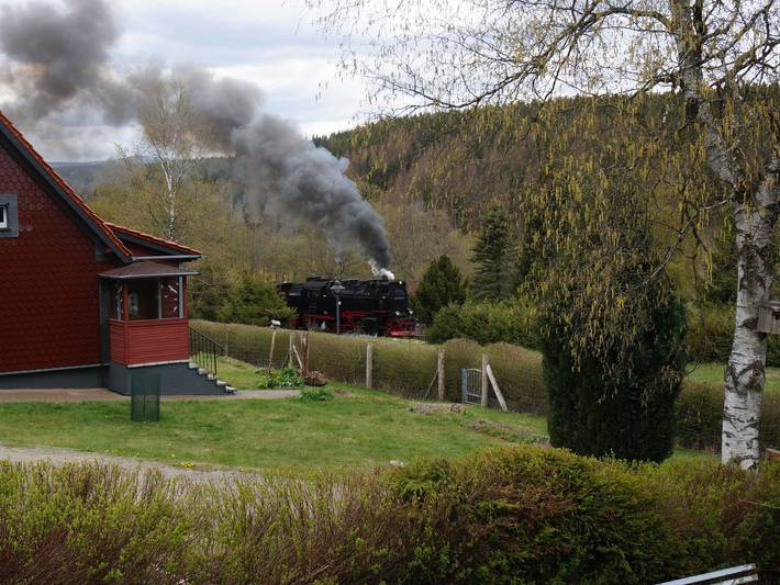 Ferienhaus für 6 Personen, mit Terrasse und Garten sowie Ausblick in Sachsen-Anhalt - 4