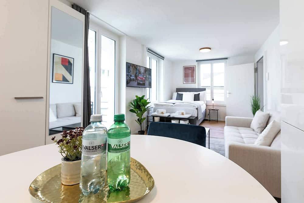 Entire apartment, Studio Gallusplatz with Parking lot and Balcony in St. Gallen, Zurich Prealps
