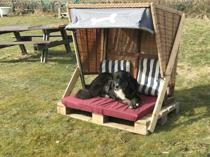 Ferienwohnung für 4 Personen, mit Garten und Terrasse, mit Haustier in Süddorf - 3