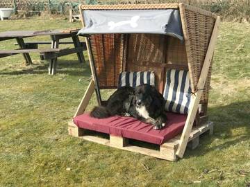 Ferienwohnung für 4 Personen in Süddorf, Amrum, Bild 2