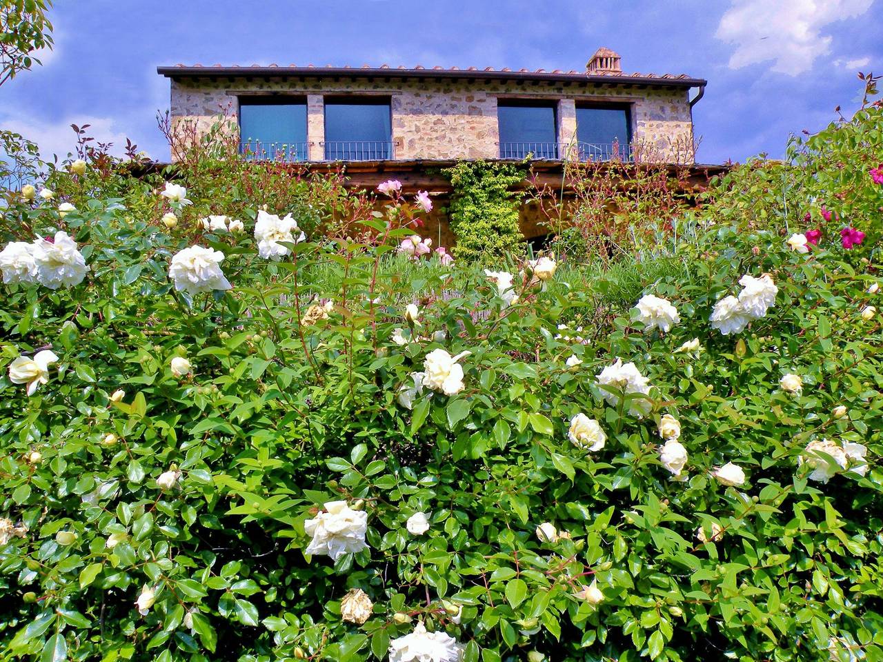 Ehemalige Scheune auf einem Weingut inmitten der Weinberge des Chianti in Certaldo, Chianti