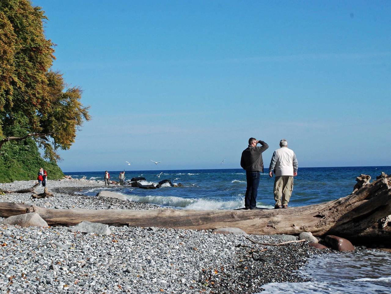 Ganze Ferienwohnung, Ferienwohnungen zwischen Ostsee und Bodden - 01 Ferienwohnung zwischen Ostsee und Bodden in Selliner See, Sellin