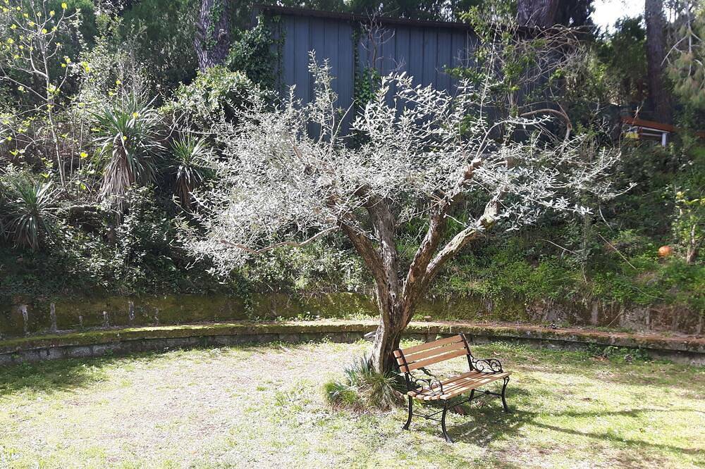 Hebald guesthouse: suite with private garden., foto 14