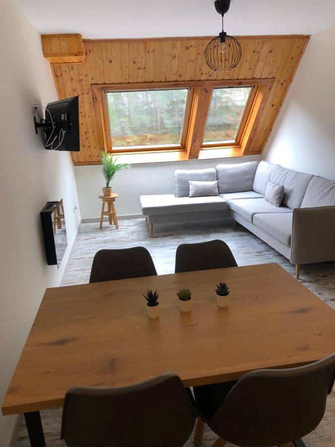 Gîte pour 5 personnes, avec vue à Candanchú - 2