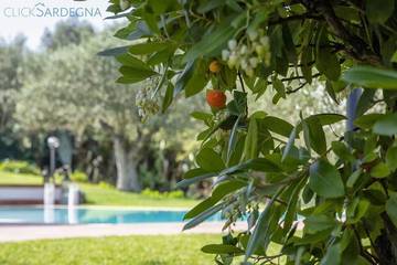Villa per 6 Persone in Alghero, Provincia di Sassari, Foto 1