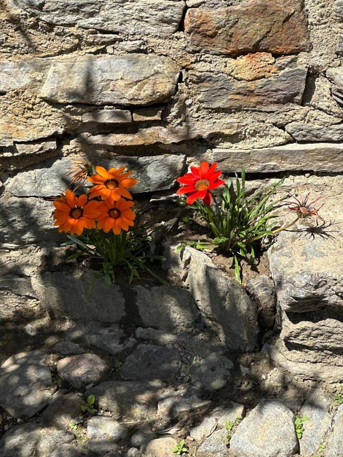 Maison de campagne pour 4 personnes, avec balcon et vue à Tirano - 2