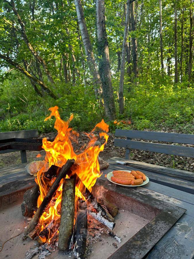Koziula - Domki i Leśne Spa na Kaszubach in Morze Bałtyckie