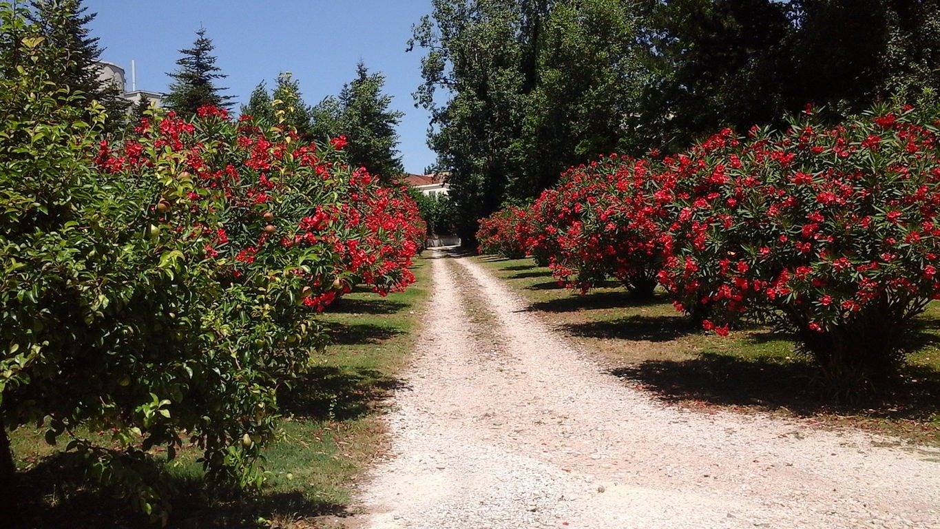 Le Moulin de Françoise - La suite de la tour in Visan, Enclave de Valreas