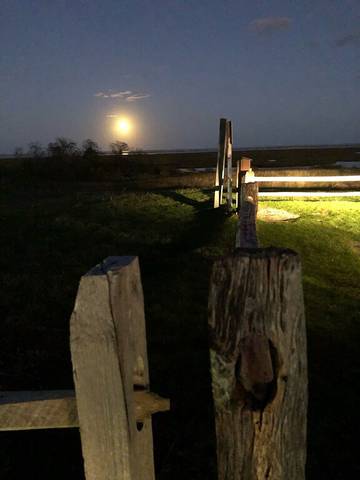 Cabin for 3 Guests in Eastham, Cape Cod, Picture 3