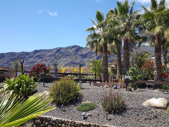 Ferienwohnung für 2 Personen, mit Pool und Garten sowie Balkon auf La Palma - 4