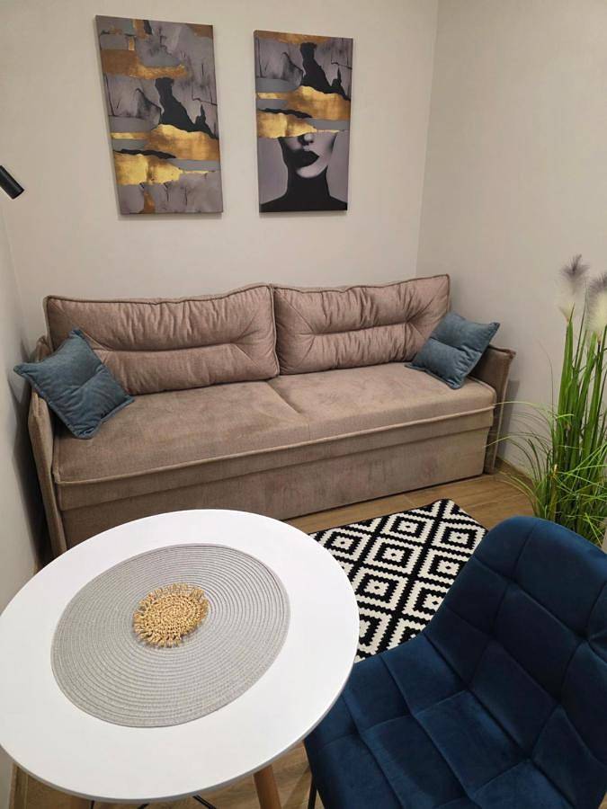Ganze Wohnung, Apartment - Ground Floor in Lviv, Oblast Lemberg
