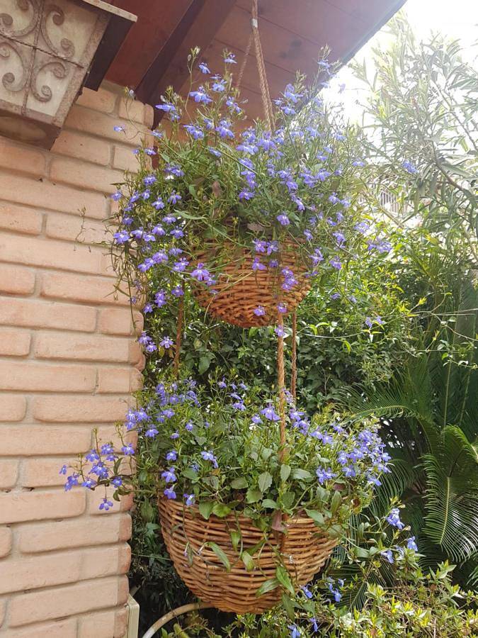 Location de vacances pour 6 personnes, avec jardin dans Dolianova - 4