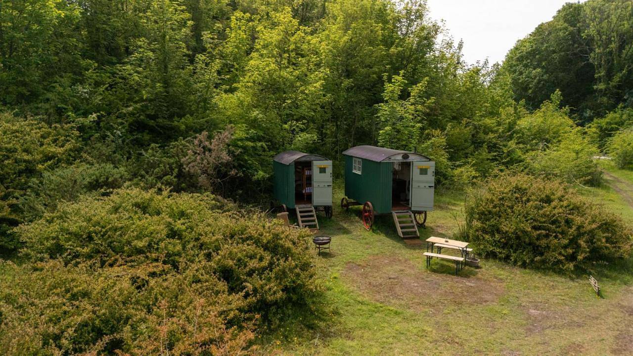 Double Room with Garden View in Plymouth, South Devon