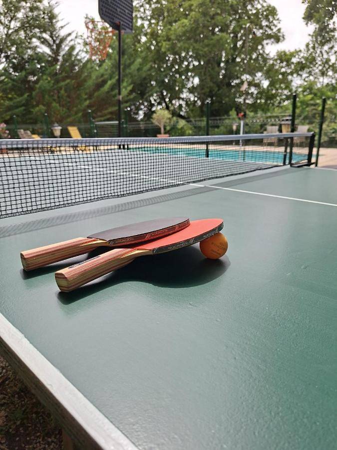 Location de vacances pour 10 personnes, avec piscine ainsi que vue et jardin, animaux acceptés à Limeuil - 2
