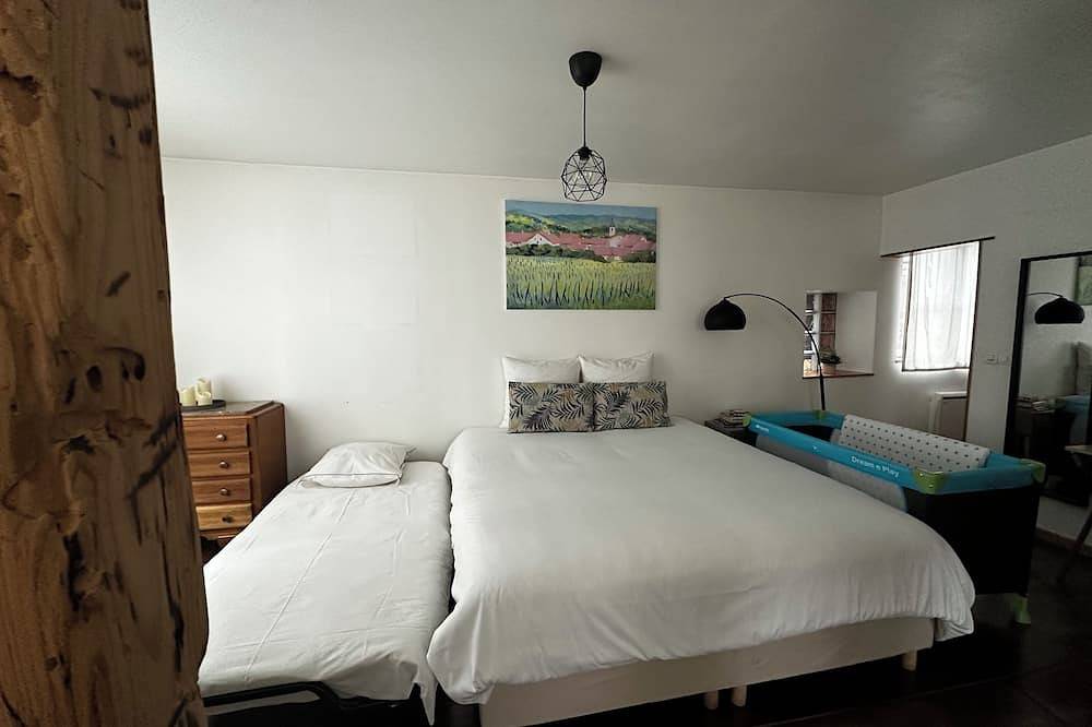 Entire apartment, 40m² equipped apartment, near Strasbourg and Parliament in Schiltigheim, Strasbourg region