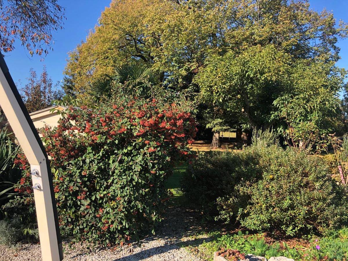 Deluxe King Room in Barbezieux-Saint-Hilaire, Charente