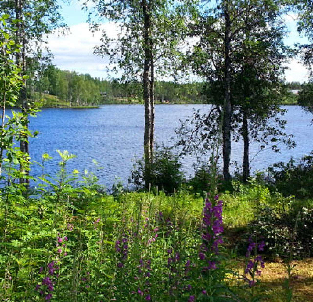 Komfortables Ferienhaus direkt am See, Angeln, Jagd, Schneemobile fahren direkt ab Haus in Norrbotten