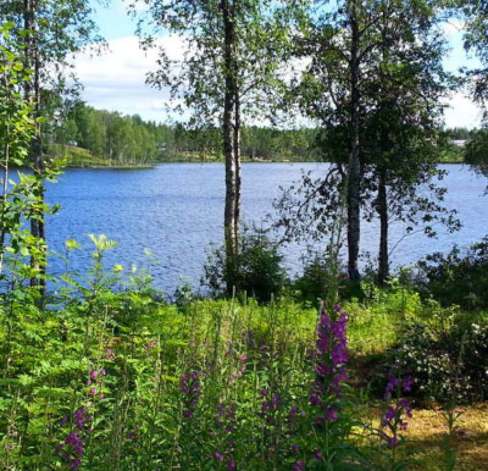 Hus för 6 Personer med bastu in Norrbotten